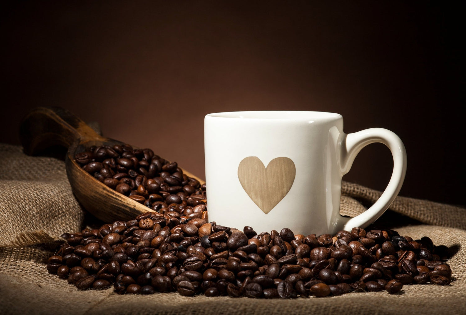 Our Staff Favorites